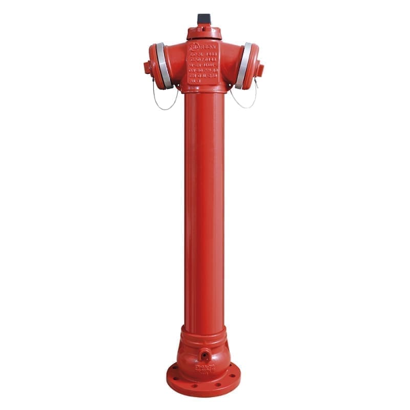 134187_l.jpeg HIDRANT SUPRAFATA VALWater PN10 DN 80 STANDARD Hinghet=1250