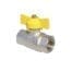 ROBINET GAZ VALGasio D.1'' FI-FI FLUTURE