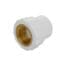 VALDuotherm White PPR Female Thread Adapter 32x1''