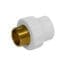 VALDuotherm WHITE PPR COUPLING D. 63x2" F (female)