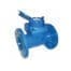 VALAgrio ''TWP'' Meter DN 80 Qn 40 m³/h Q3 80 m³/h PN 16 CLA