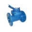 VALAgrio WATER METER DN100 Qn 60m³/h PN16 CLA